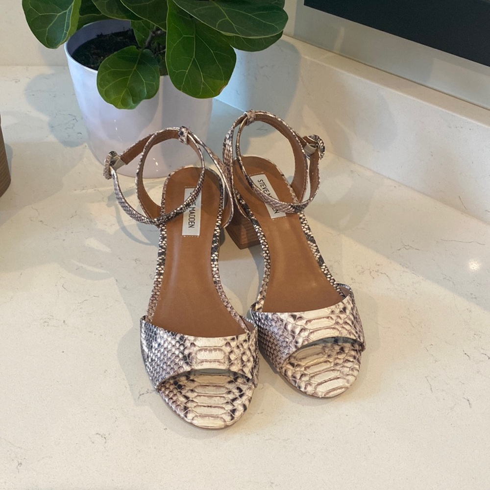 Steve Madden Runway Snake Print shoes sz 9